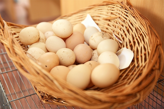Is it wise to put all your recruitment agency eggs in one basket?